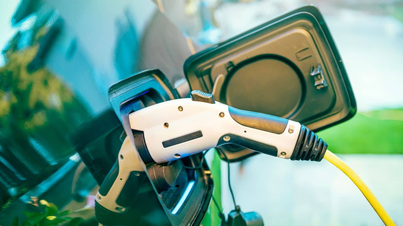 Which Investment Vehicles Suit Your Financial Goals? Which Investment Vehicles Suit Your Financial Goals?