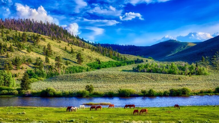 Ranch Management: Mastering Essential Skills for Running a Thriving Livestock Operation Ranch Management: Mastering Essential Skills for Running a Thriving Livestock Operation